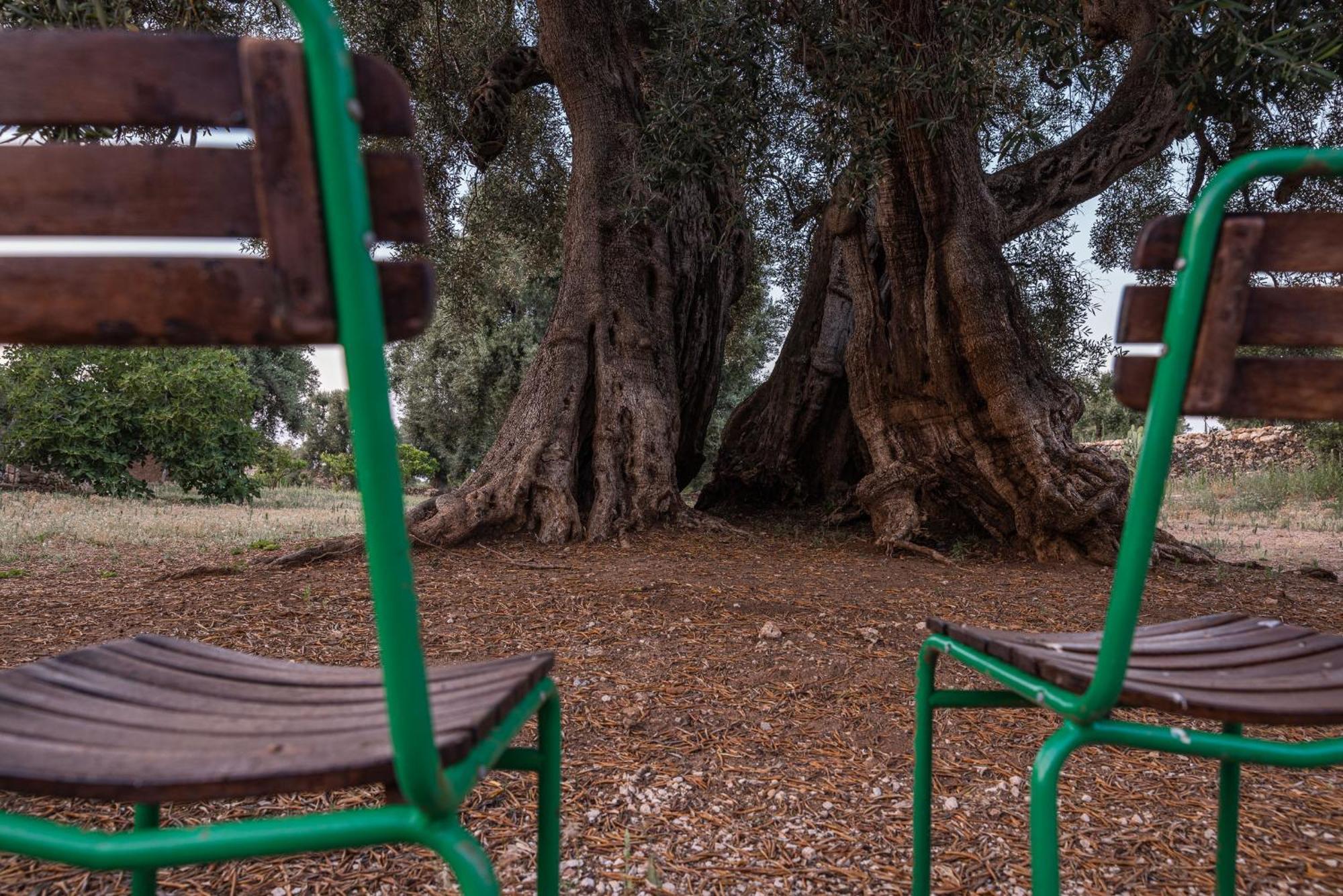Masseria Torrelonga ฟาซาโน ภายนอก รูปภาพ